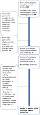 An Encounter With the Other: A Thematic and Content Analysis of DMT Experiences From a Naturalistic Field Study